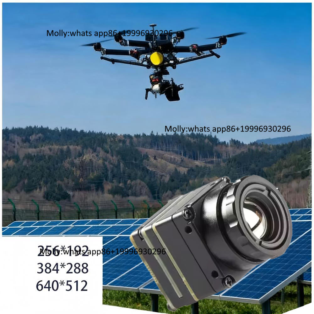 Thermal Camera Type C 384X288 - Modulo Fotocamera Termica Mini FPV con